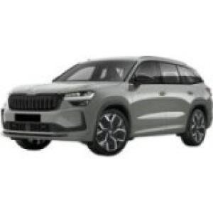 Kodiaq (2024-...)