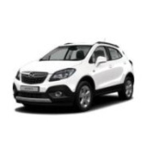 Mokka 2013-