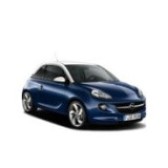 Adam 2013-