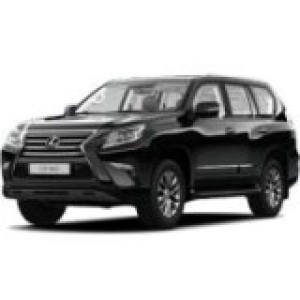 GX 460 2009-