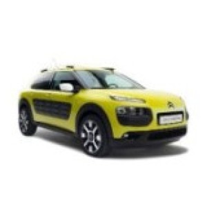 C4 Cactus 2015-