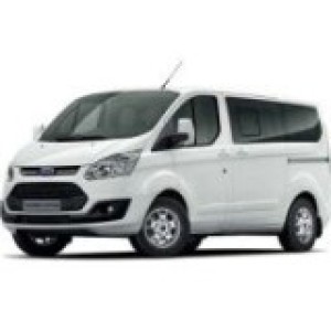 Custom 2012-