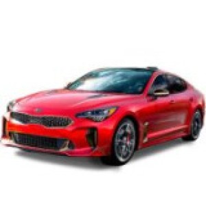 Stinger 2017-