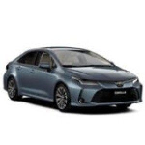 Corolla 2019-
