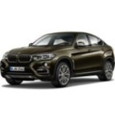 X6 (F16) 2014-