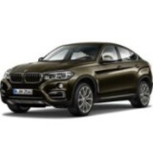 X6 (F16) 2014-