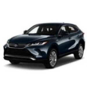 Venza 2020-