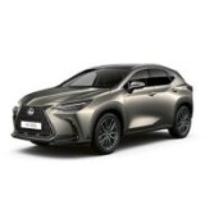 NX 2022-