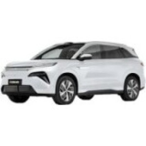 Tang L (2025-...)